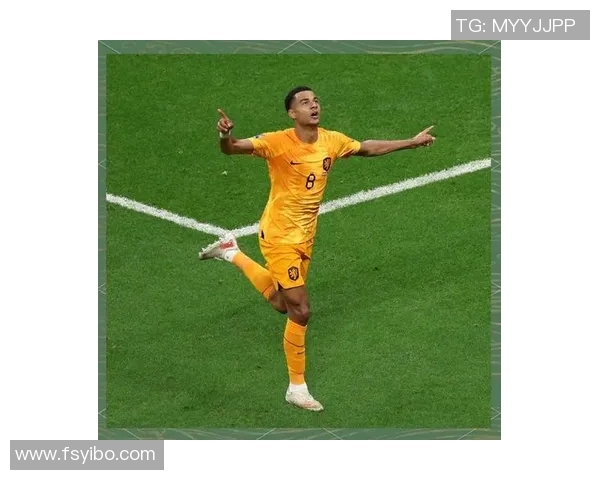 足球明星宣传册精彩瞬间展现球场魅力与激情的完美结合