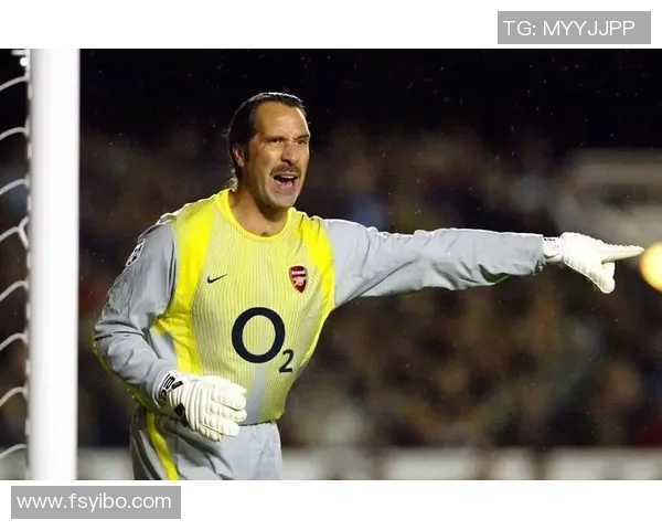 足球明星整容揭秘那些改变面容的球场传奇与他们的真实故事